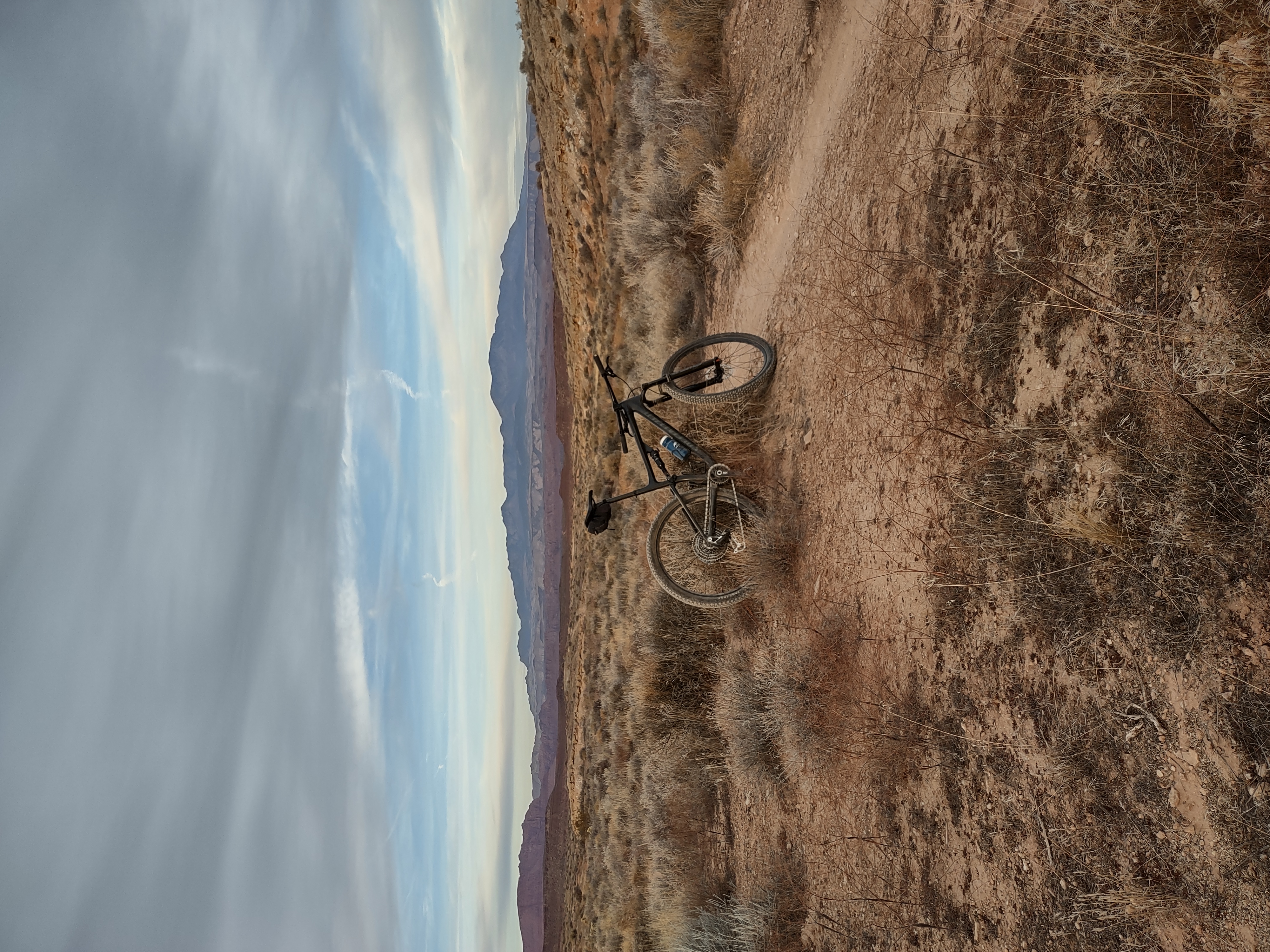 My bike at the Bear Claw Poppy Trail.